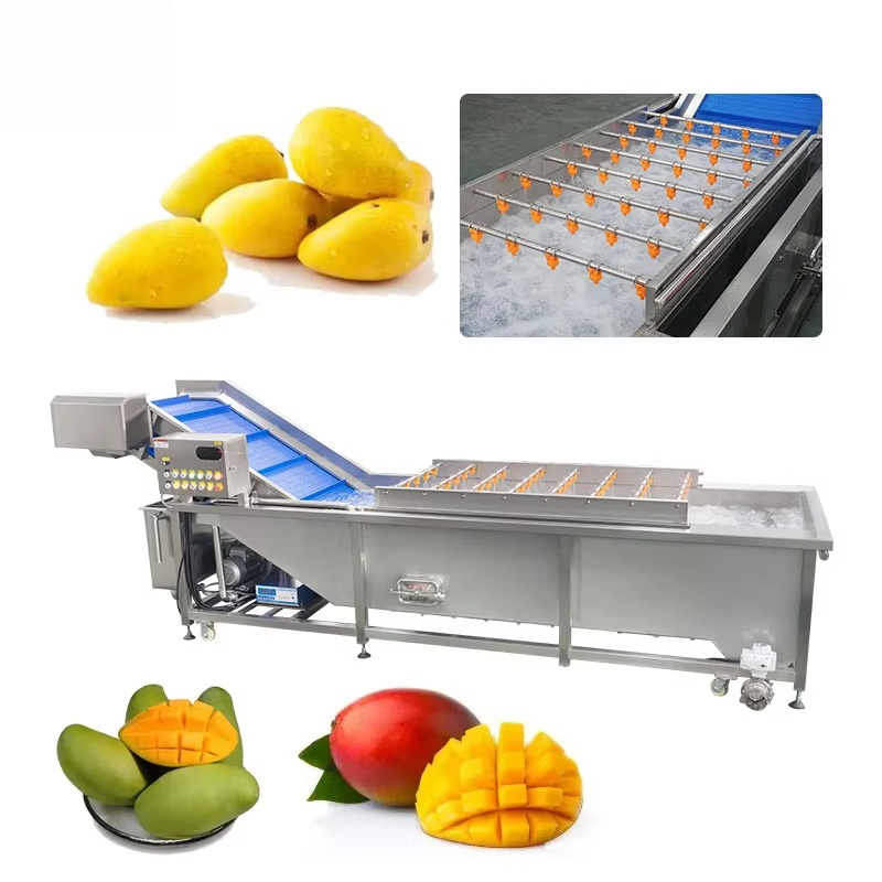 Ice Cream Pasteurizer Machine - Équipement de lavage de fruits et