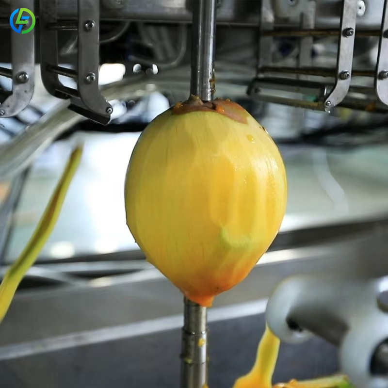 Machine automatique personnali - Ice Cream Pasteurizer Machine avis et prix
